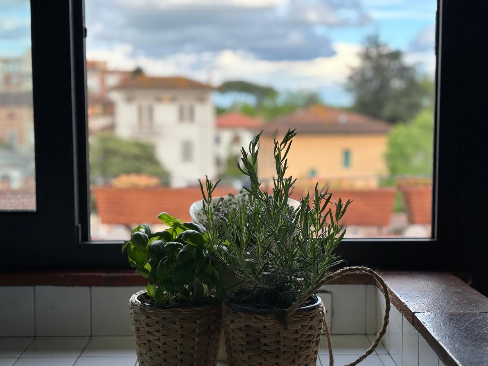 Lovely Apartment ルッカ エクステリア 写真